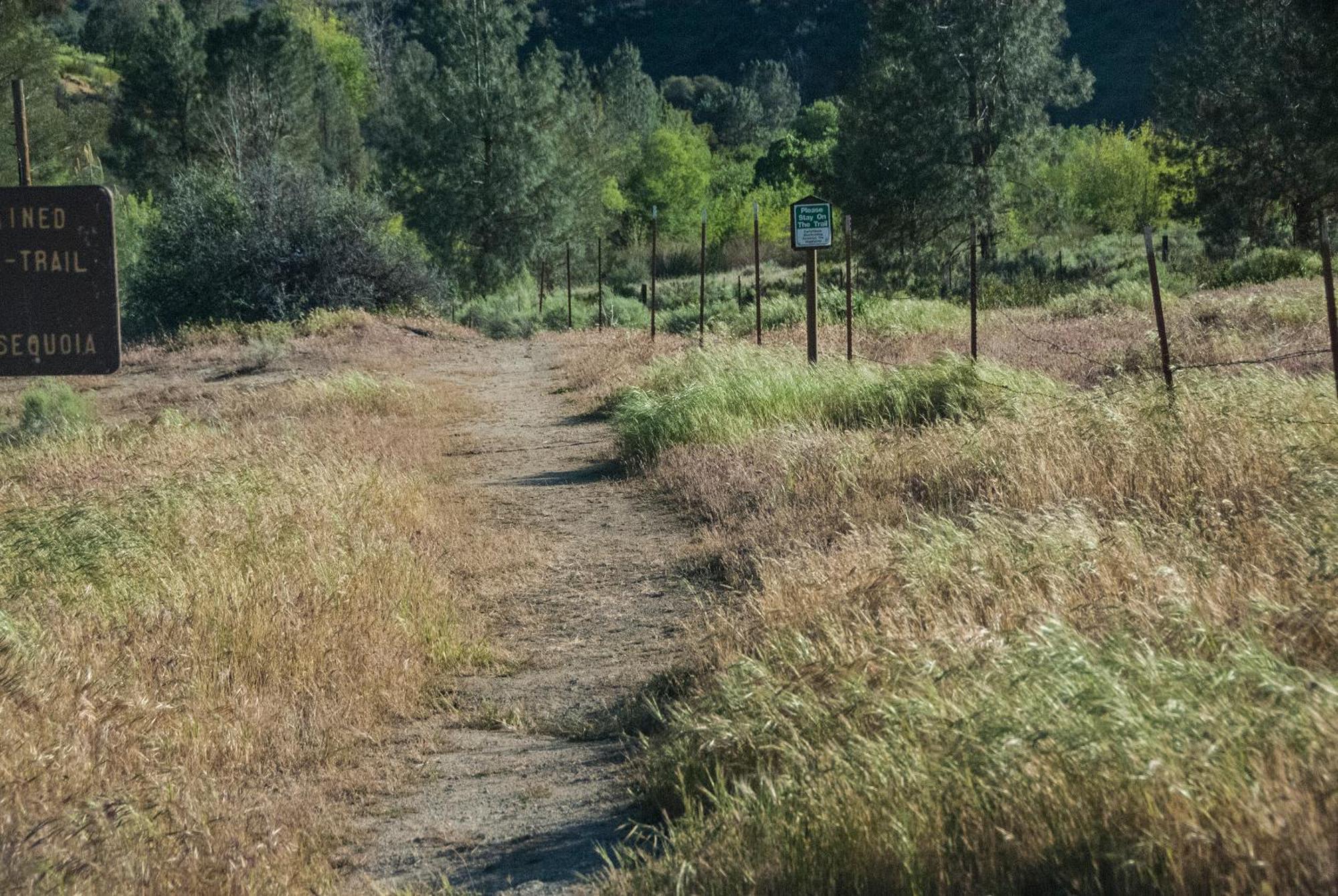 Corral Creek Lodge カーンビル エクステリア 写真